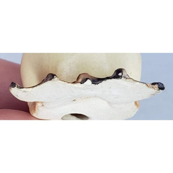 Hagen Renaker Designers Workshop DW Willy Duckling Figurine Matte HTF RARE - Picture 7 of 9